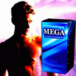 MEGA�@3,129�~�i�ō��j