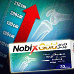 �m�r�b�N�X�S�[���h Nobix Gold�@4,179�~�i�ō��j